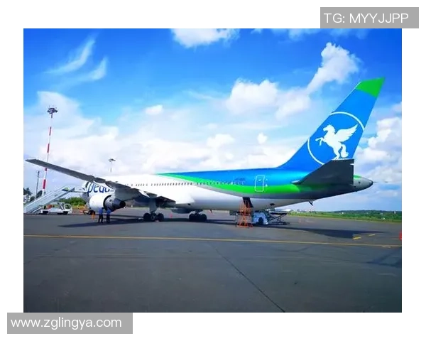 飞盘之路：周敏的深度对话与人生探索之旅