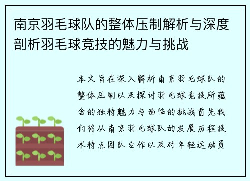 南京羽毛球队的整体压制解析与深度剖析羽毛球竞技的魅力与挑战