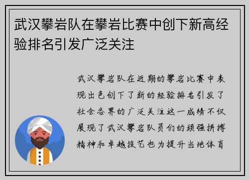 武汉攀岩队在攀岩比赛中创下新高经验排名引发广泛关注