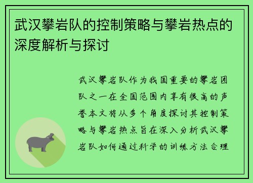 武汉攀岩队的控制策略与攀岩热点的深度解析与探讨